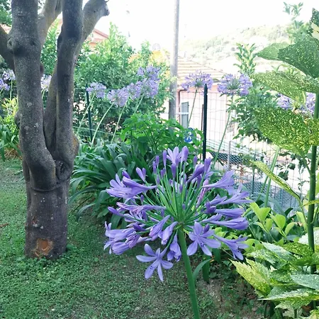 Il Giardino Di Gio' 別荘