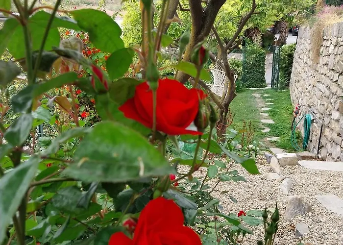 Il Giardino Di Gio' Semesterbostad *