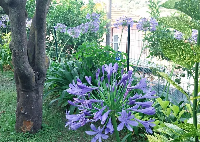 Il Giardino Di Gio' Semesterbostad